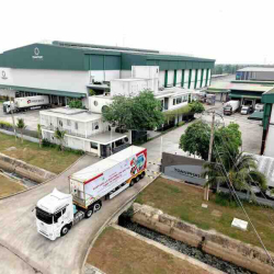 Bưởi Việt sắp xuất khẩu đường biển sang Australia: Bài toán chuỗi cung ứng mới nổi lên sau "cánh cửa mở"