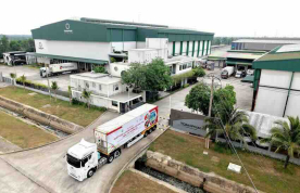 Bưởi Việt sắp xuất khẩu đường biển sang Australia: Bài toán chuỗi cung ứng mới nổi lên sau "cánh cửa mở"