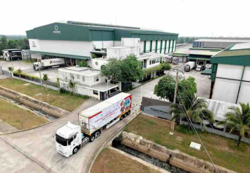 Bưởi Việt sắp xuất khẩu đường biển sang Australia: Bài toán chuỗi cung ứng mới nổi lên sau "cánh cửa mở"