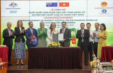 Bưởi Việt Nam sang Úc, việt quất Úc đến Việt Nam: Cơ hội thương mại mới